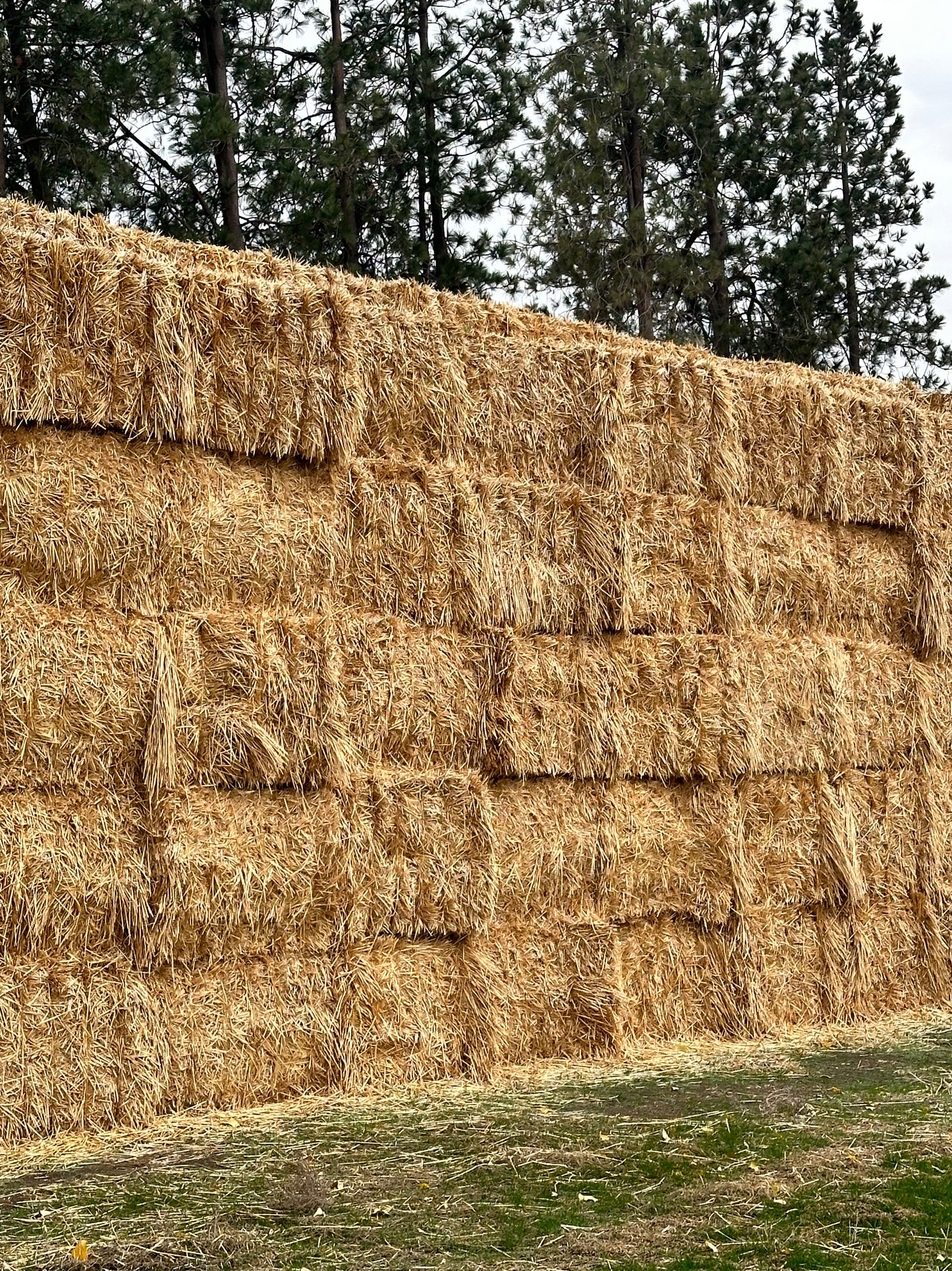 Big Bale Wheat Straw