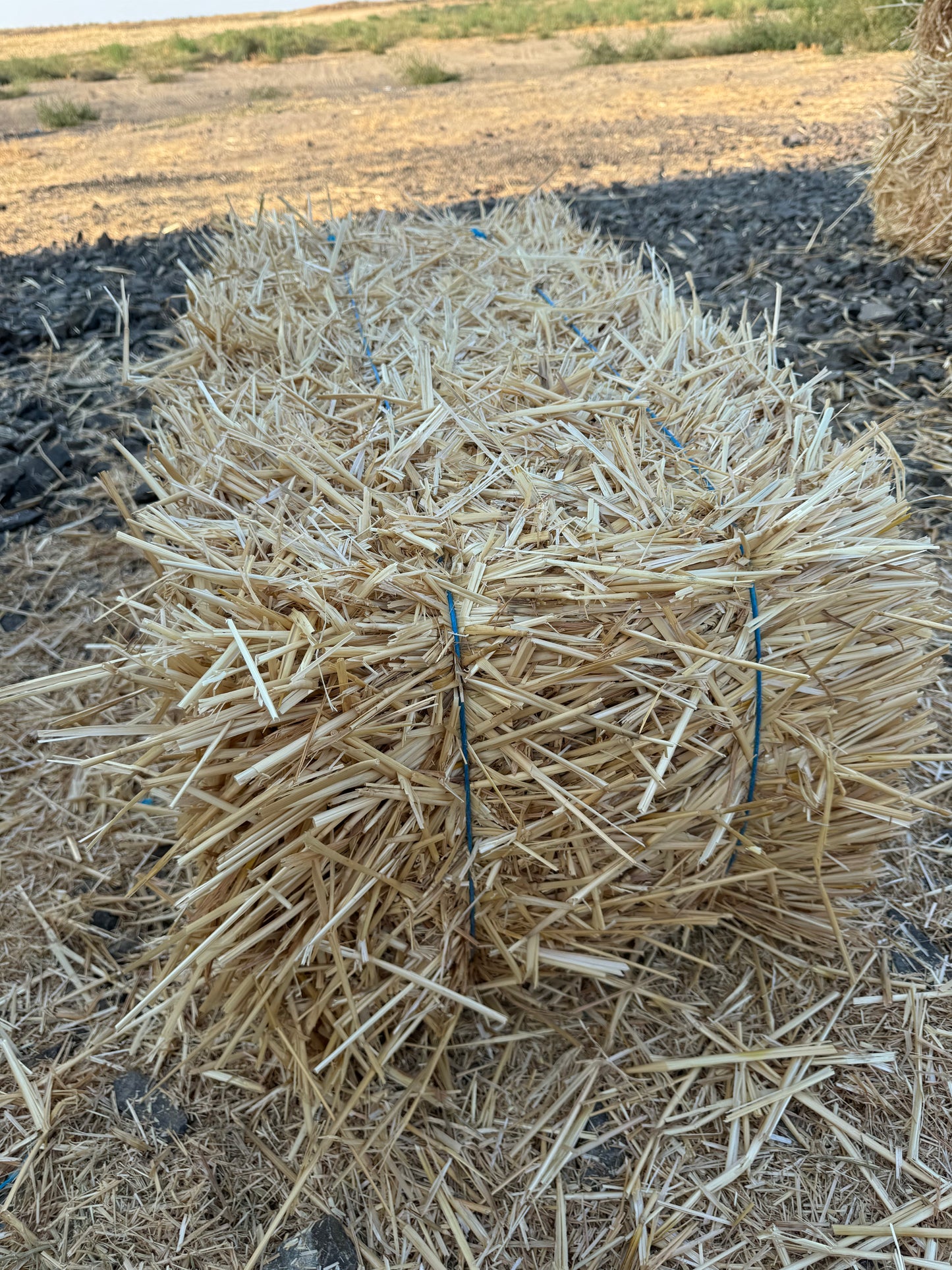 2 String Wheat Straw