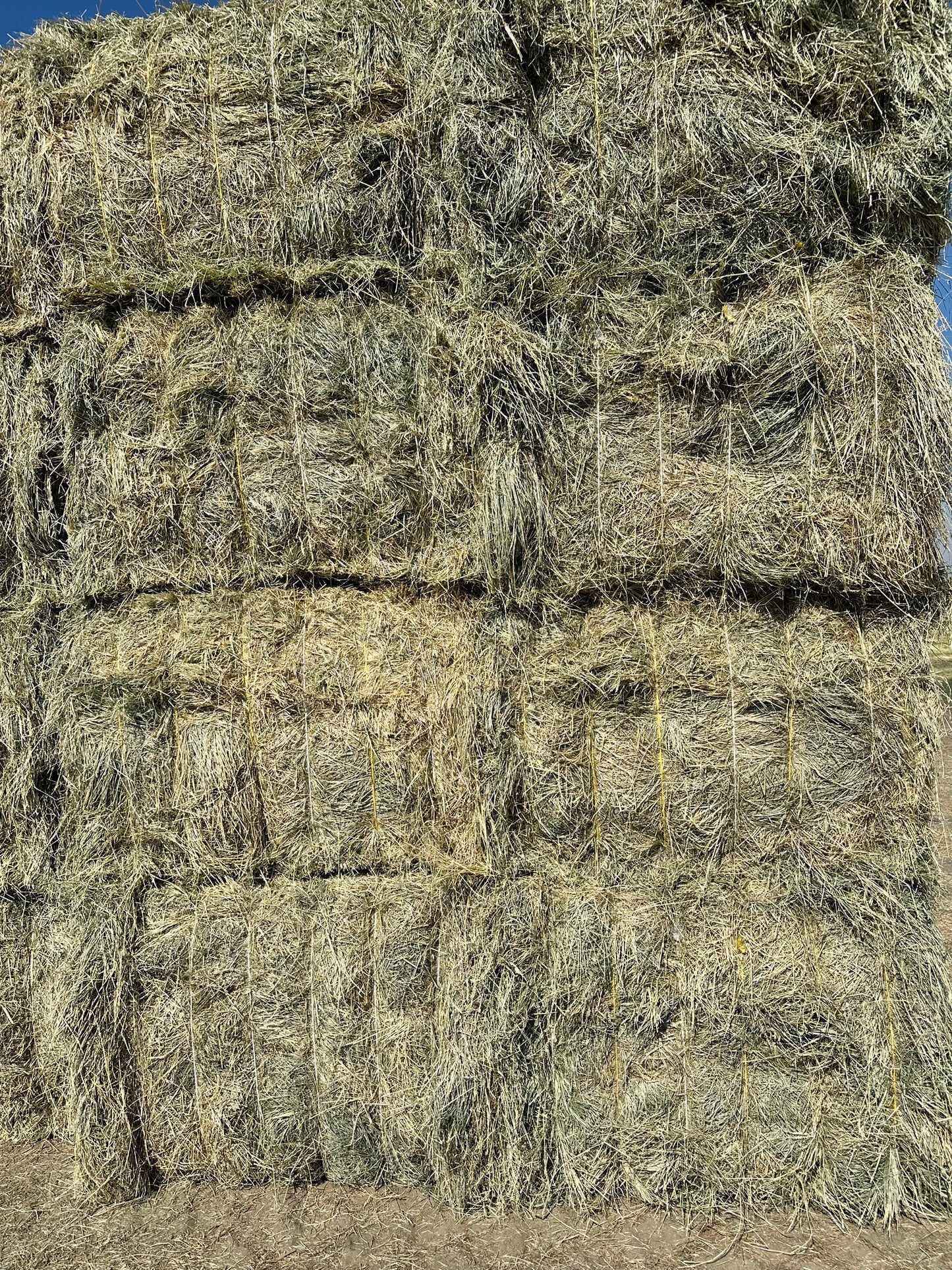 Big Bale Teff Grass Hay