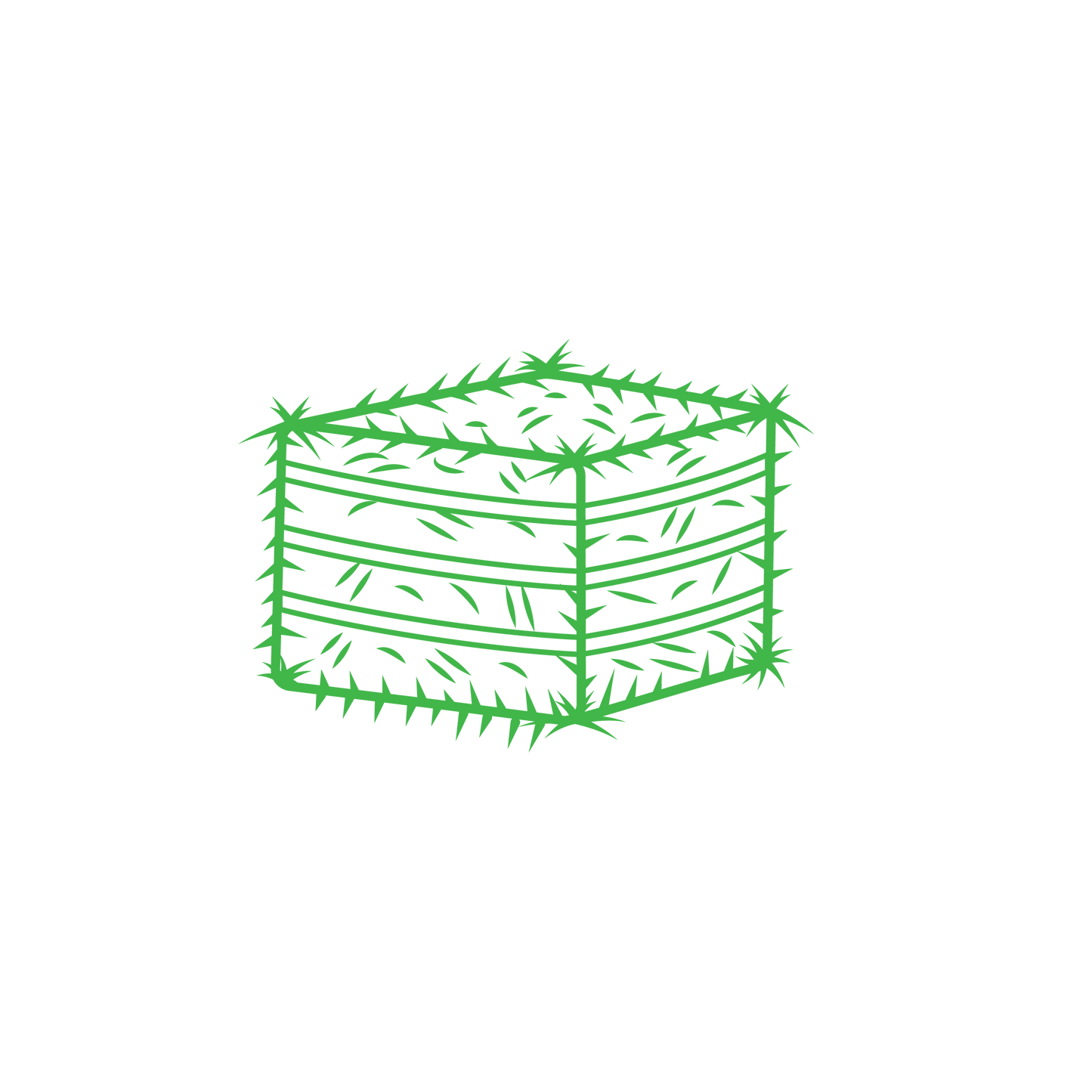 Easy-Feed Bale "Primo" Alfalfa