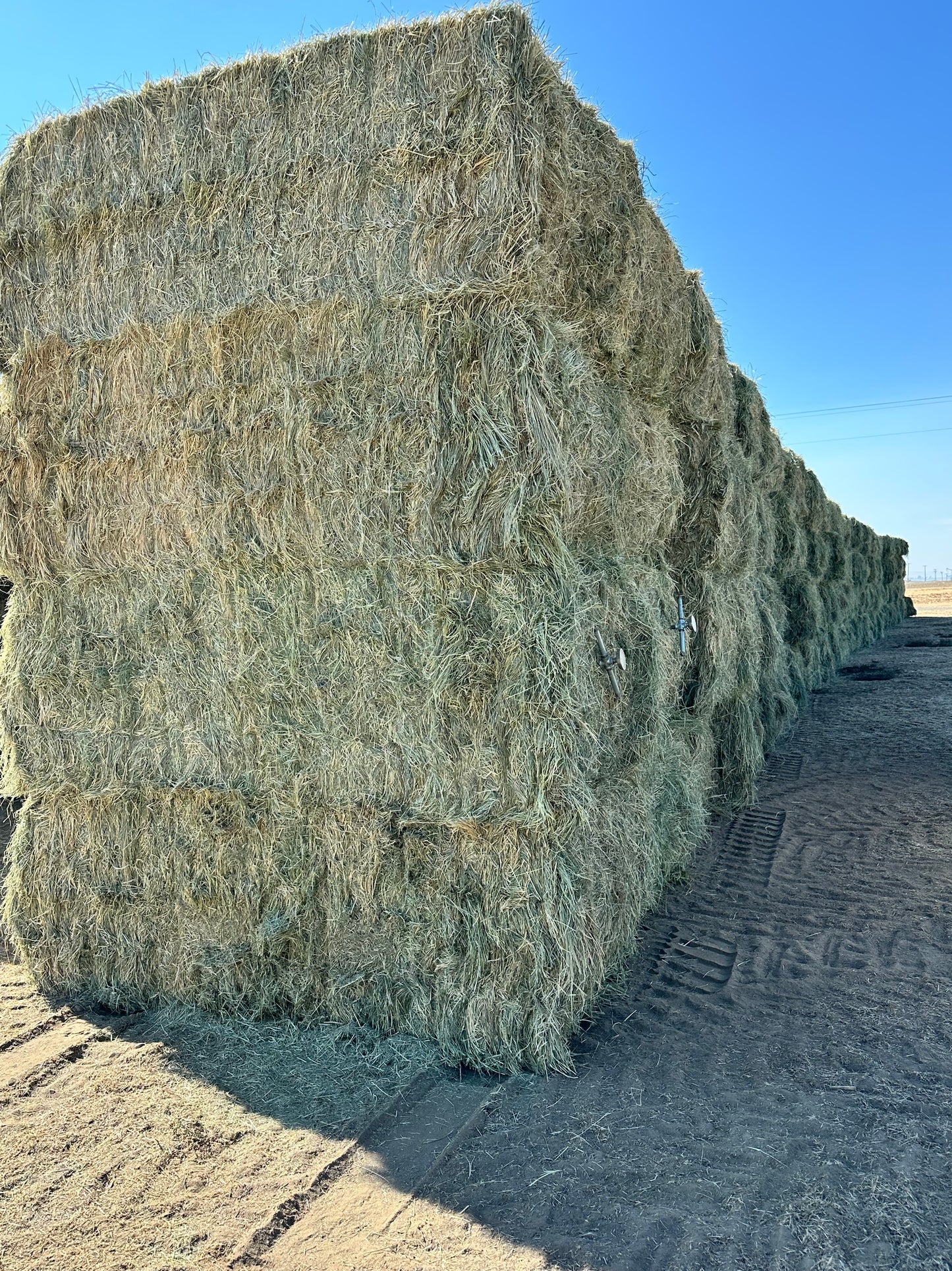 Big Bale Teff Grass Hay